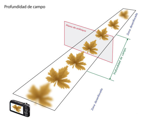 Profundidad de campo